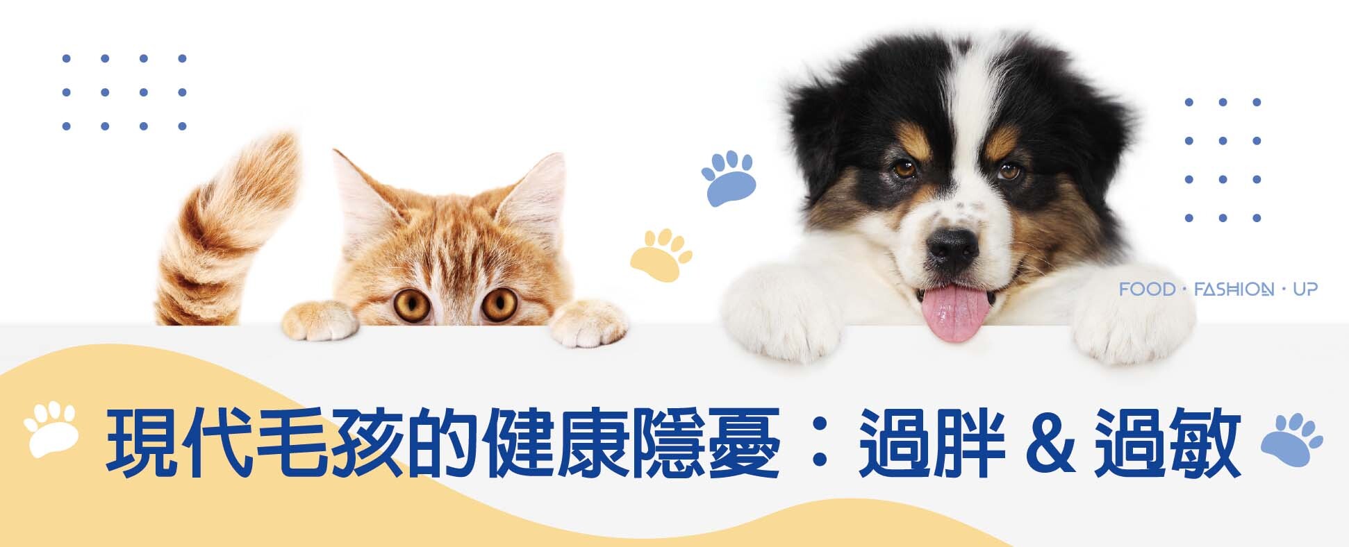 現代毛孩的健康隱憂: 過胖 & 過敏_爆能火G _趕食髦