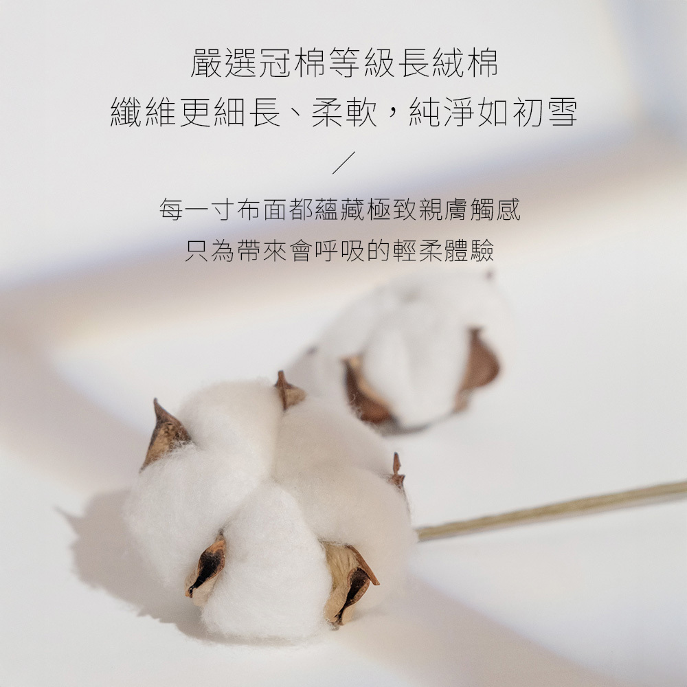 北歐小刺蝟,SCANDINAVIAN FOREST,T恤,短T,柔滑奶油棉T,精梳棉T,棉T,印花T恤,潮流短T,日系插畫T,中性T恤,親膚棉T,夏季T恤,滑順,細緻,扎實,柔軟,不悶熱,親膚,細膩,不易起皺,親膚扎實,柔軟,不悶熱