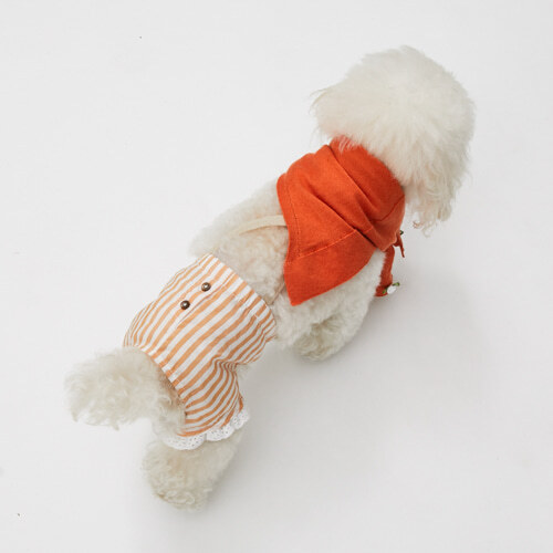 Louisdog Le Seta 絲光條紋短褲