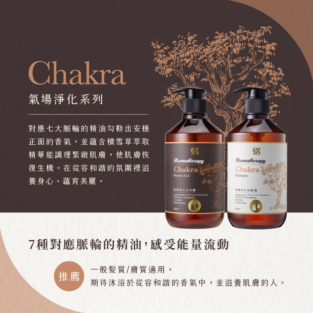 氣場淨化洗沐組500ML (附禮盒提袋)