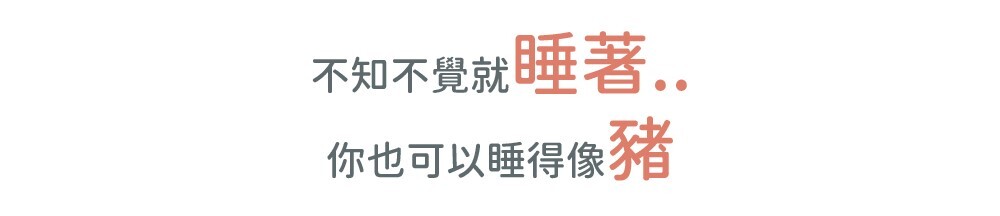 不知不覺就睡著 你也可以睡得像豬