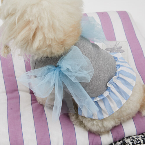 Louisdog Rolly 雙肩蝴蝶結上衣