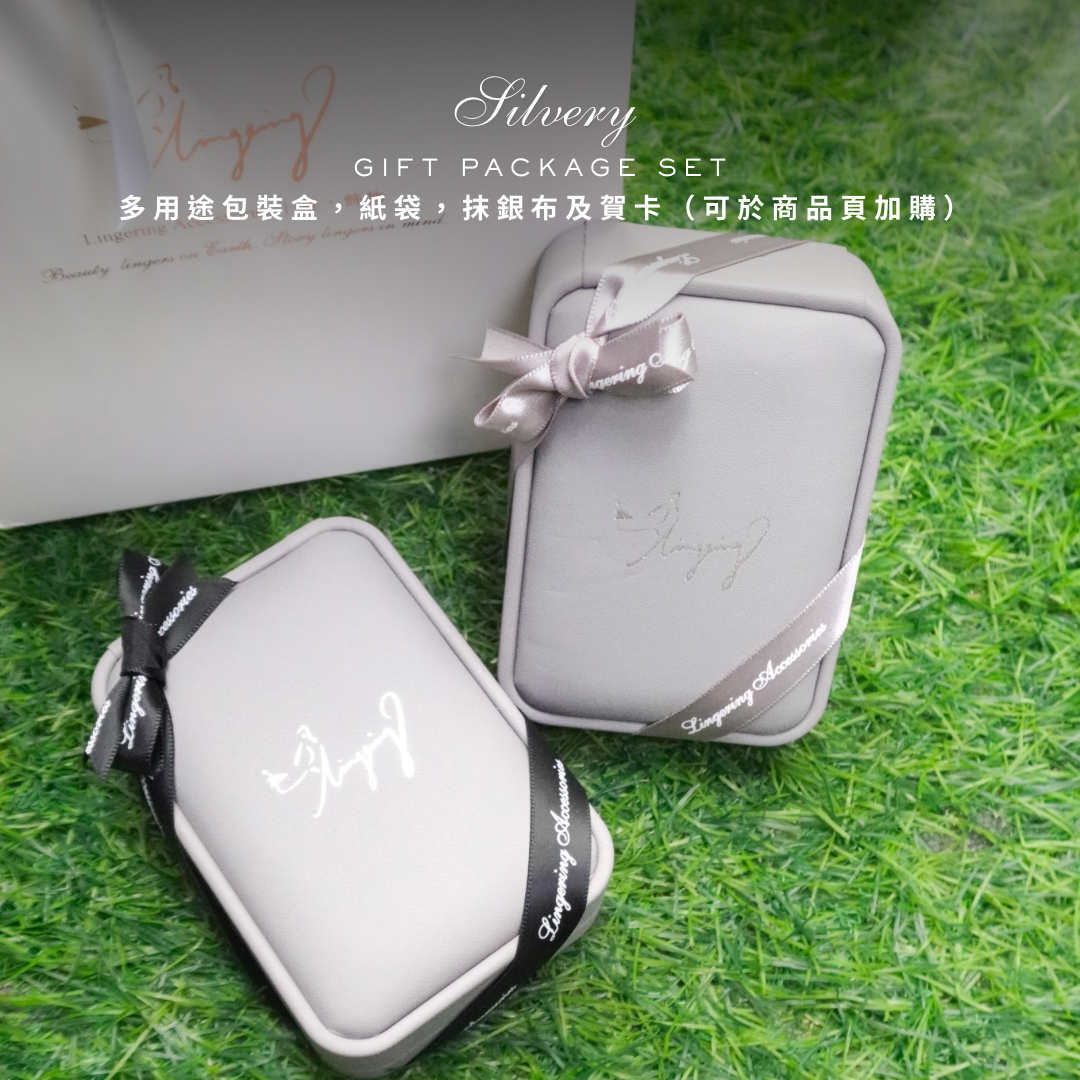 Silvery Gift Package 多用途包裝盒