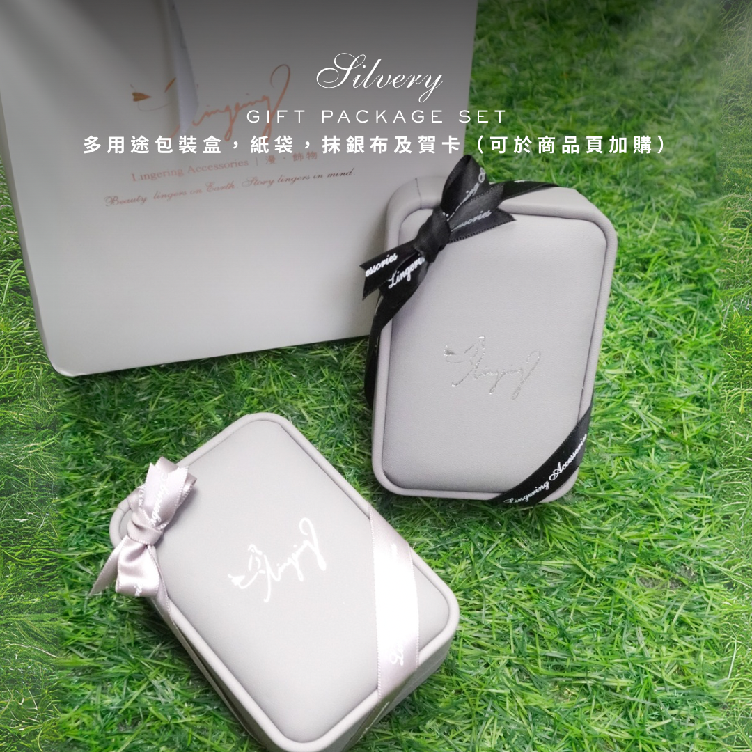 Silvery Gift Package 多用途包裝盒