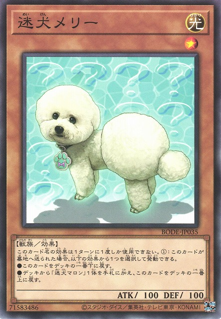 BODE-JP035  (NR)迷犬メリー (迷犬梅莉)