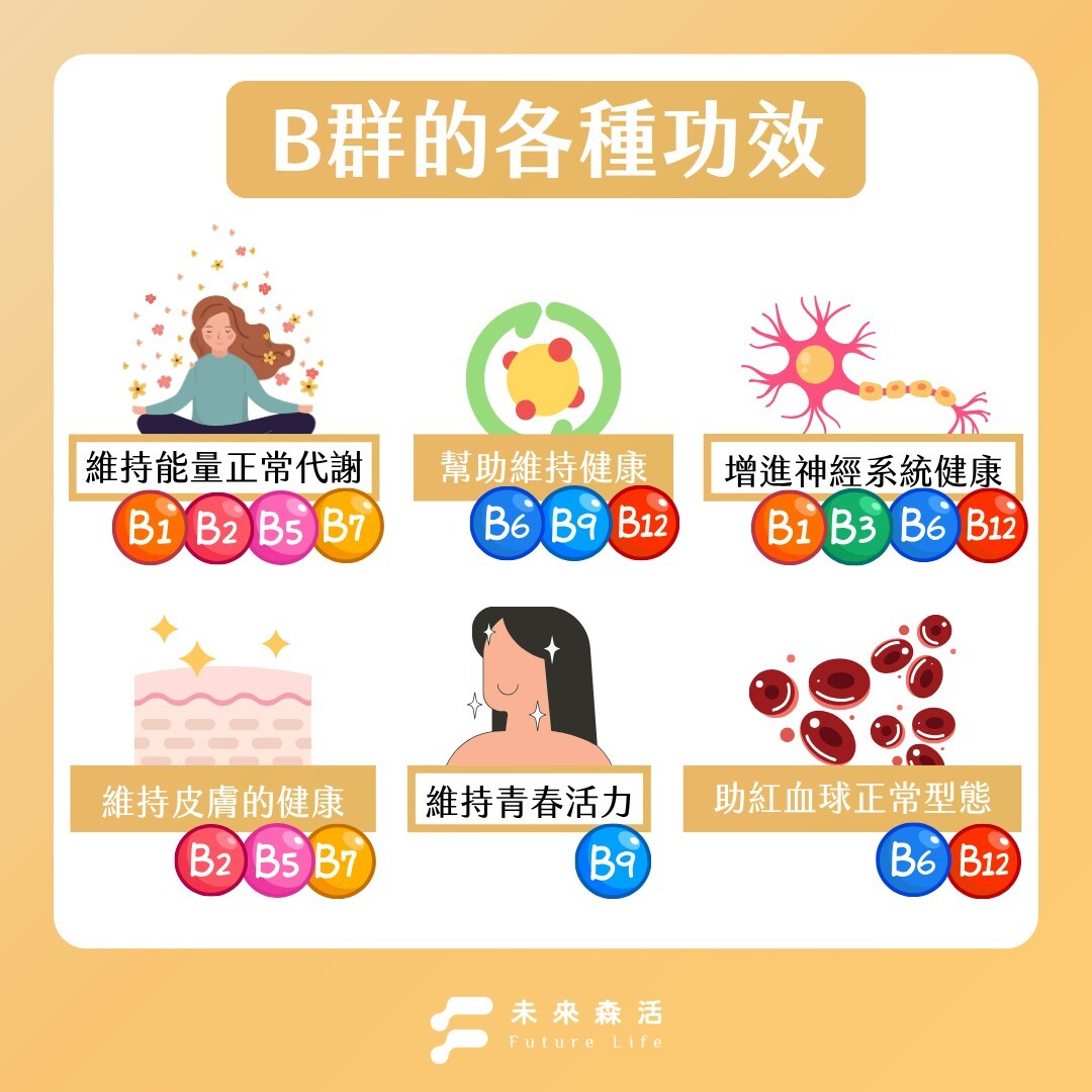 B群的功效是什麼？營養師介紹吃B群的好處