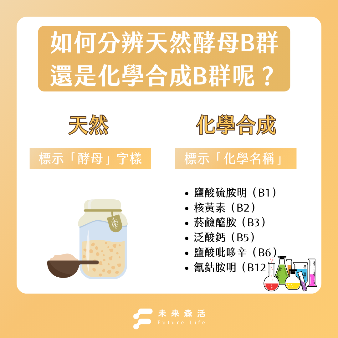 天然酵母B群、化學合成B群怎麼分？