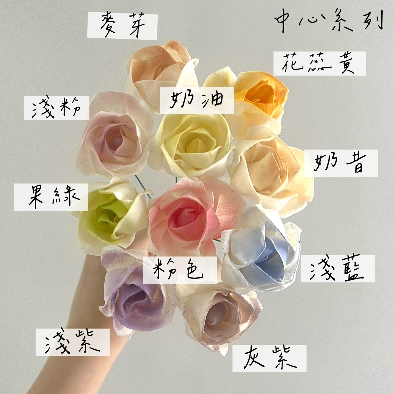 越南索拉花 燭光玫瑰 4CM<十支一把>
