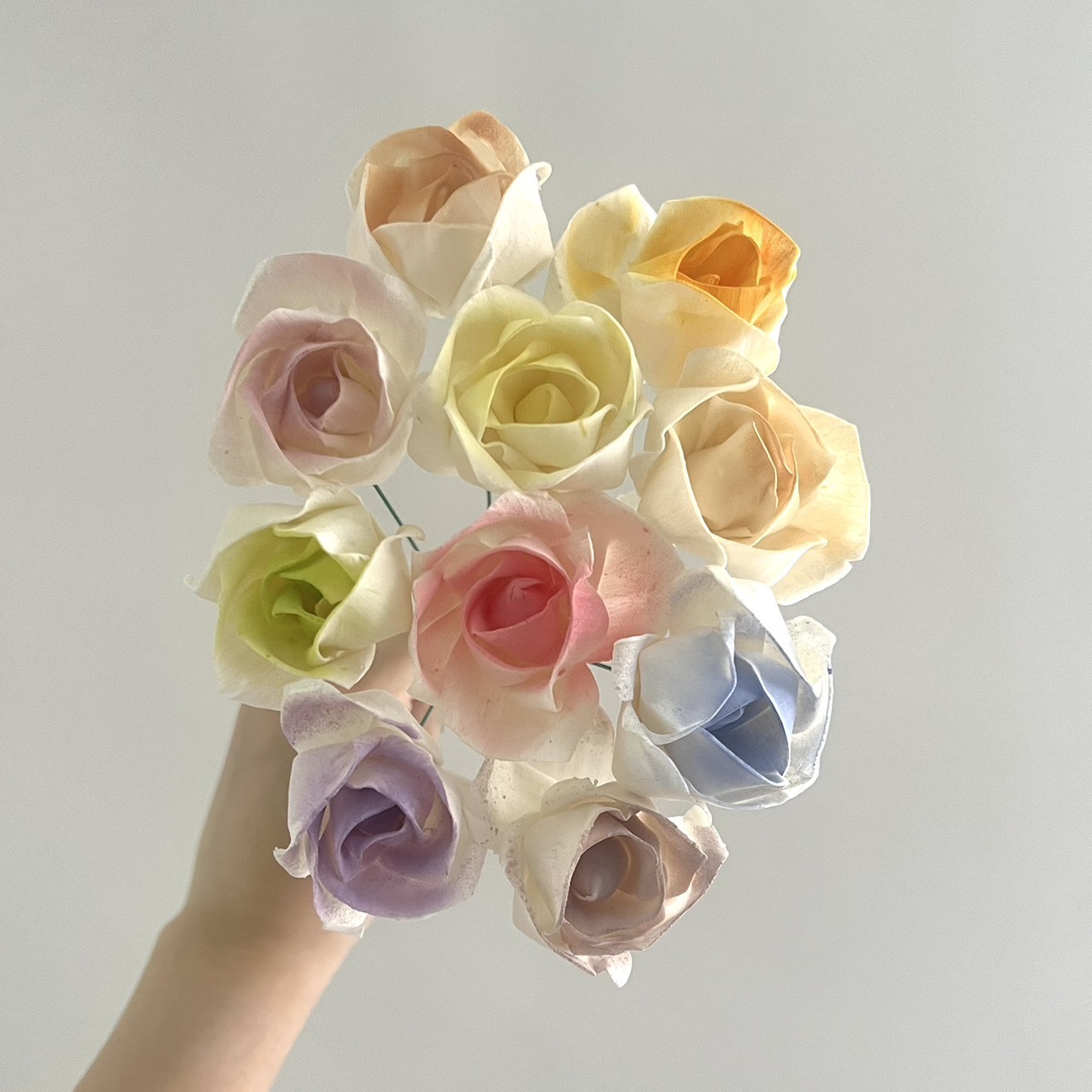 越南索拉花 燭光玫瑰 4CM<十支一把>