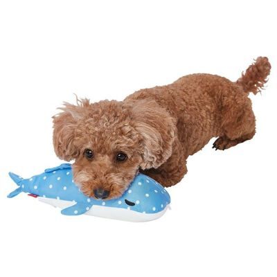 日本Petio清涼鯨鯊貓狗玩具