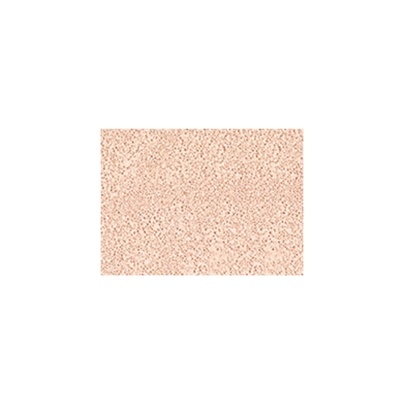 JungSaemMool beauty 持久輕薄裸膚氣墊粉底 (Fair Light 象牙白色)