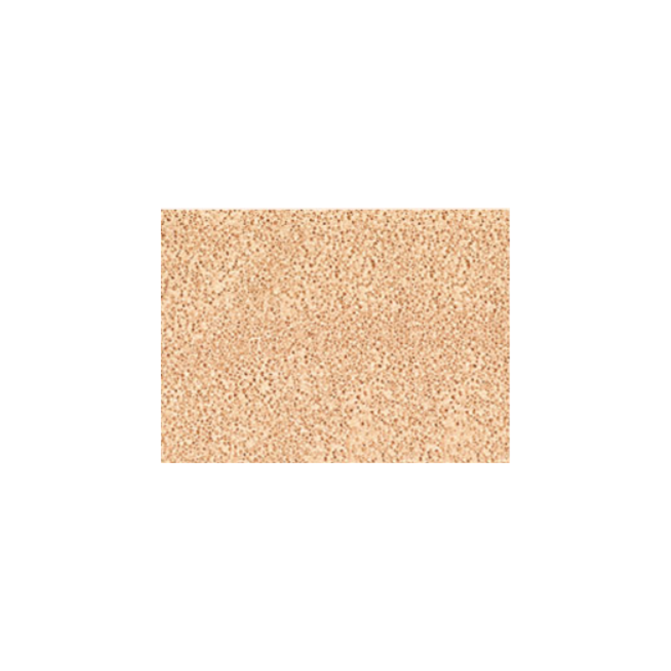 JungSaemMool beauty 持久輕薄裸膚氣墊粉底 (Light 亮白色)