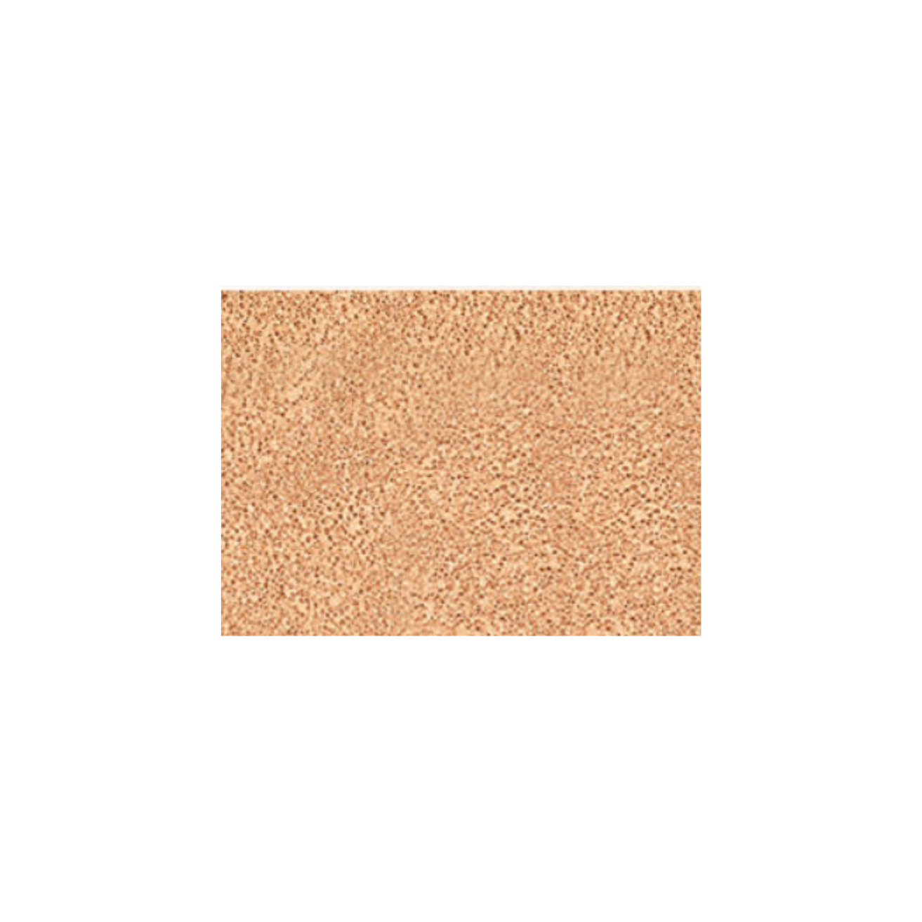 JungSaemMool beauty 持久輕薄裸膚氣墊粉底 (Medium 自然色)