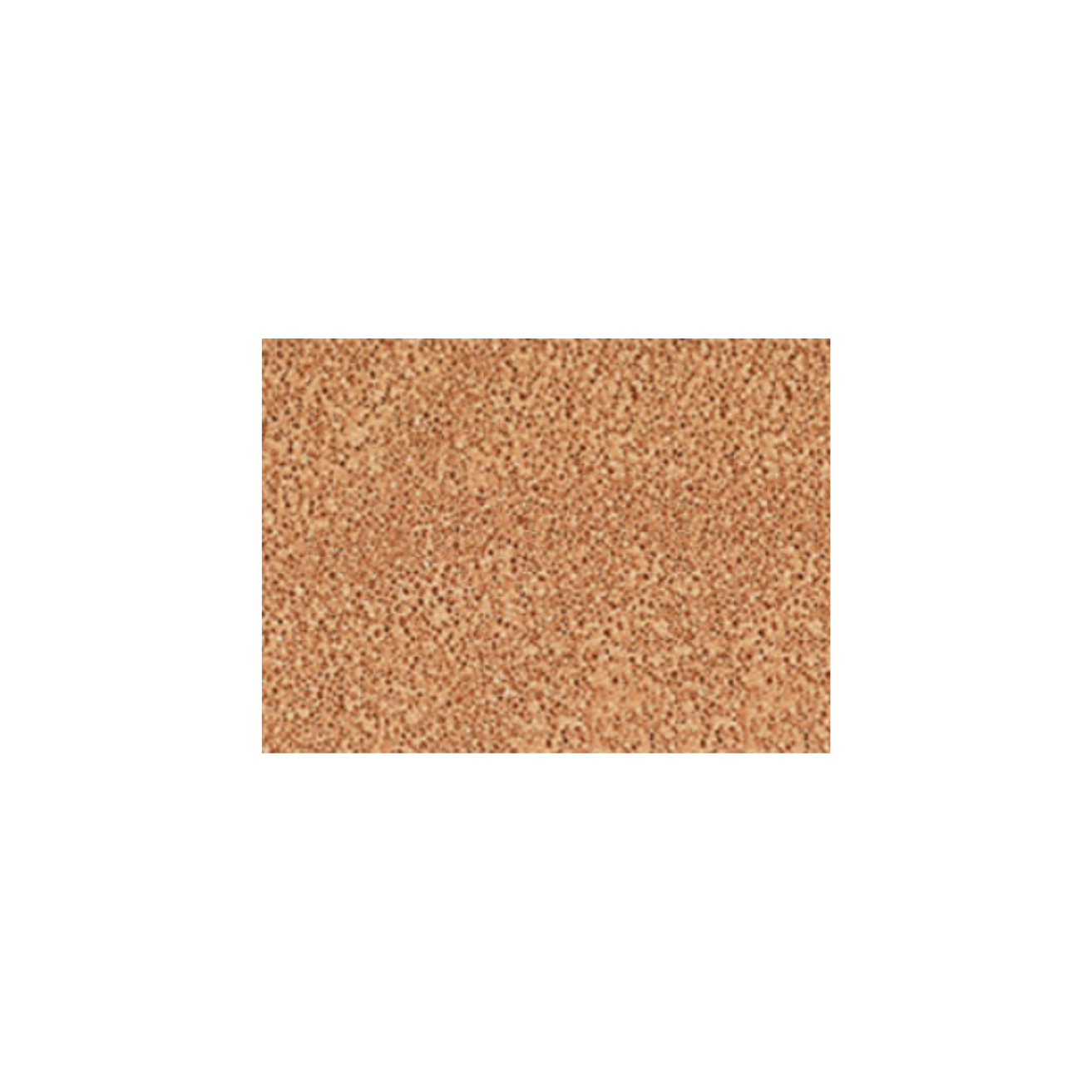 JungSaemMool beauty 持久輕薄裸膚氣墊粉底 (Medium Deep 自然深色)