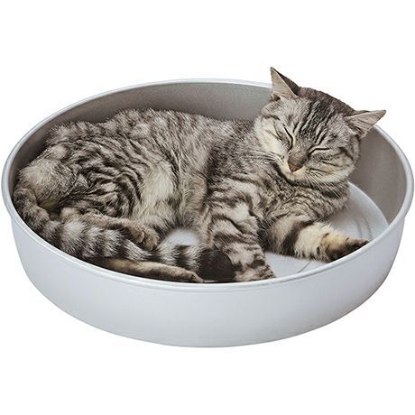 日本Petio冷感雙面鋁製貓窩-貓罐頭款式