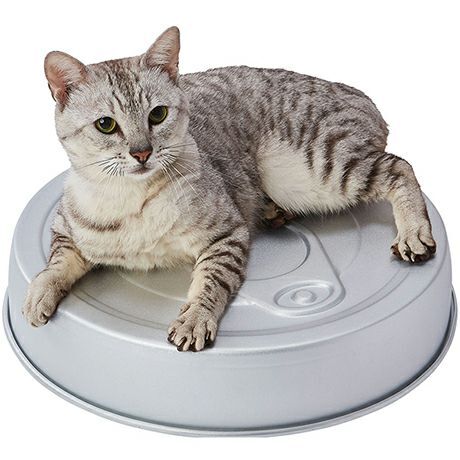 日本Petio冷感雙面鋁製貓窩-貓罐頭款式