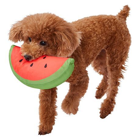 Petio狗玩具- 涼感西瓜玩具