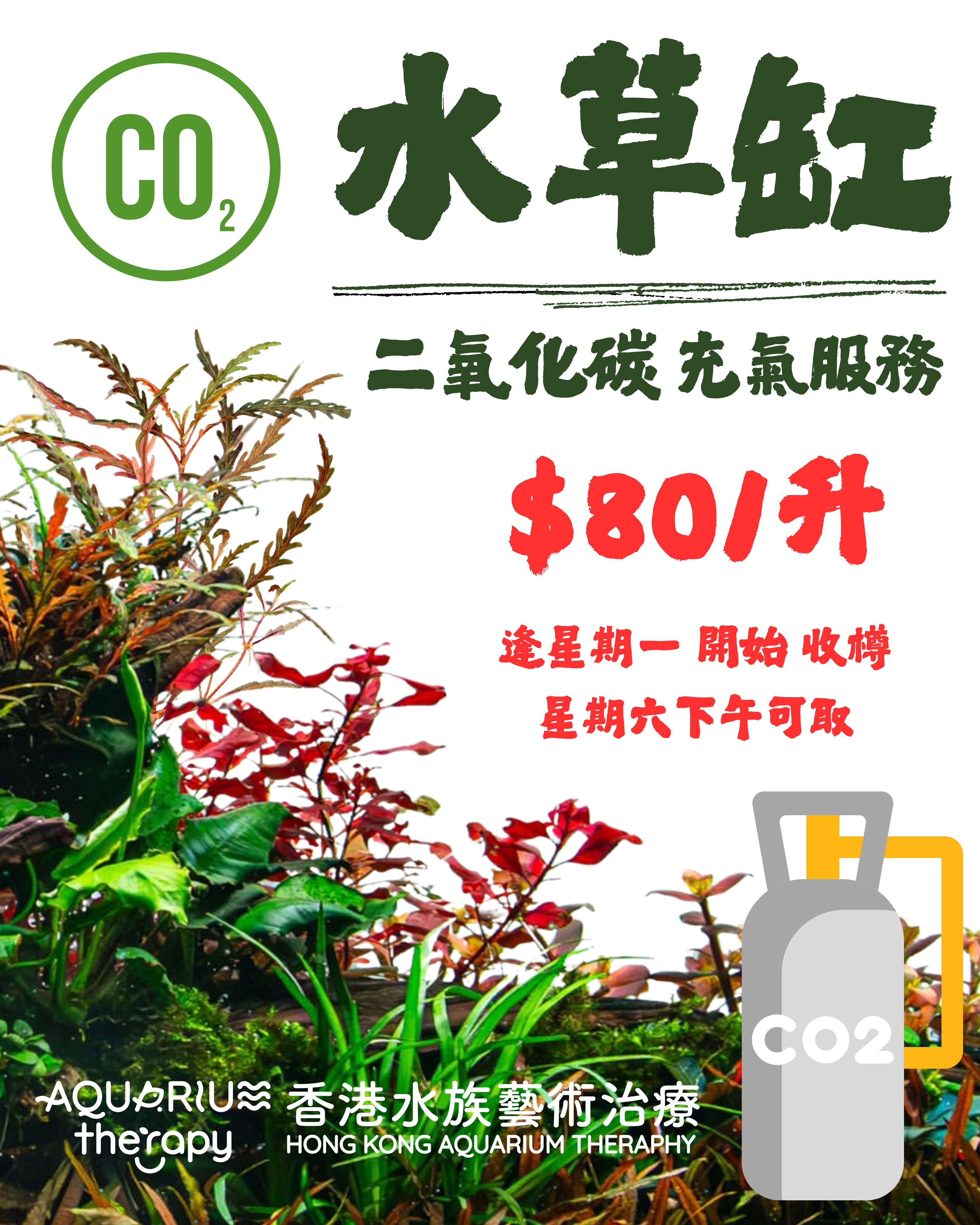 水草缸 CO2 代充氣服務