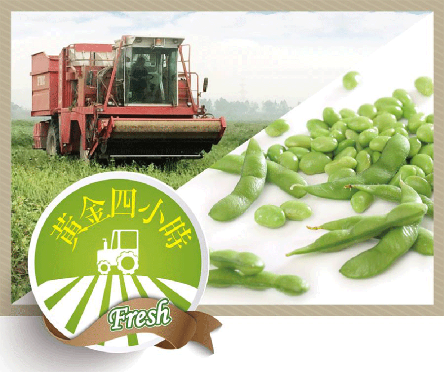 台灣九號冷凍毛豆仁