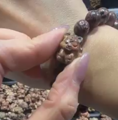 250816 - C46 正宗龍宮舍利九尾狐隔珠1粒