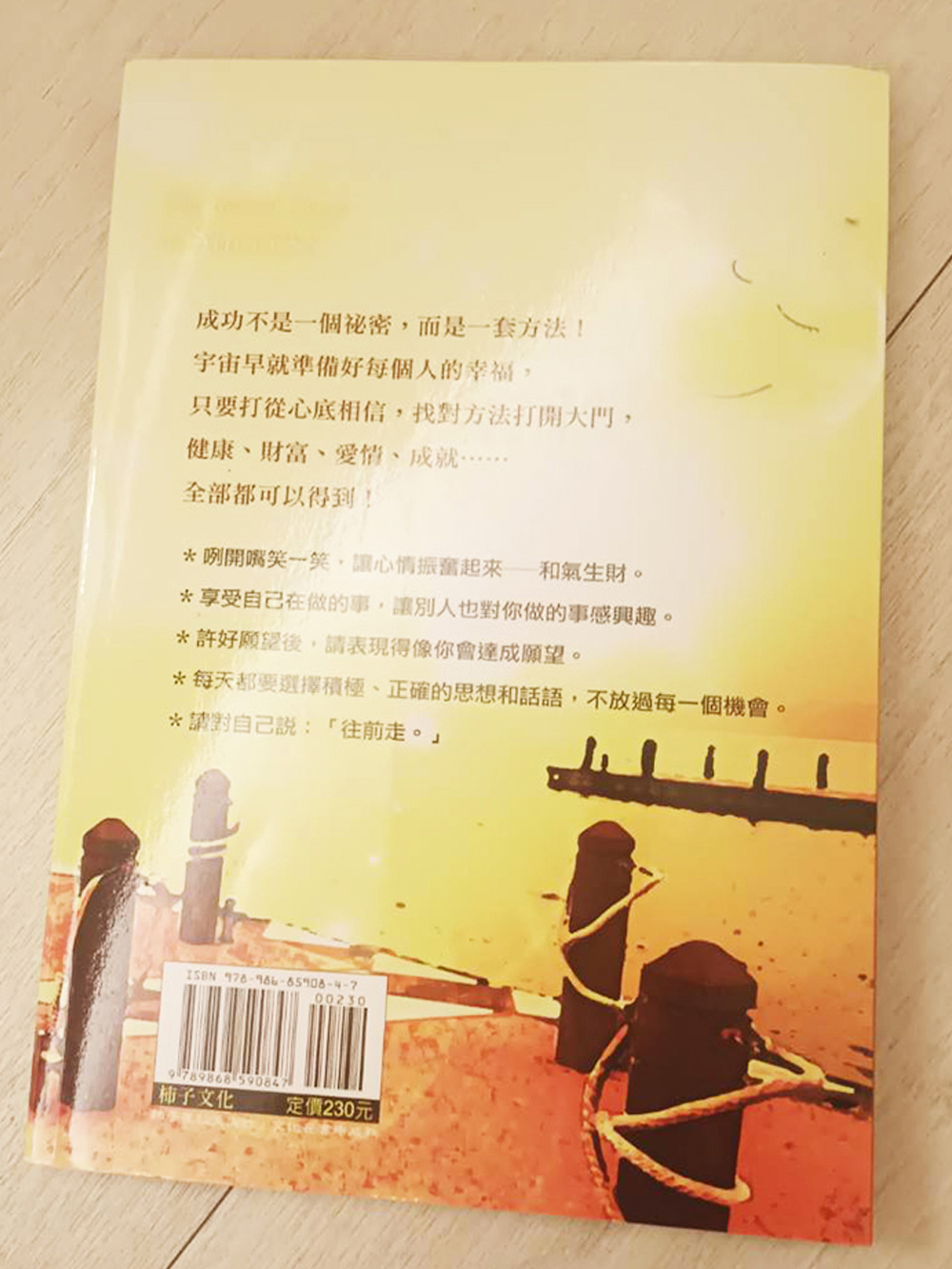 一輩子活在成功裡 /二手書【十方】154831