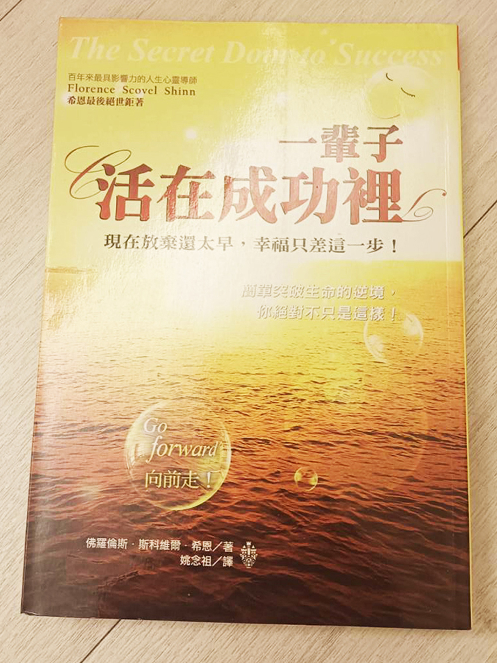 一輩子活在成功裡 /二手書【十方】154831