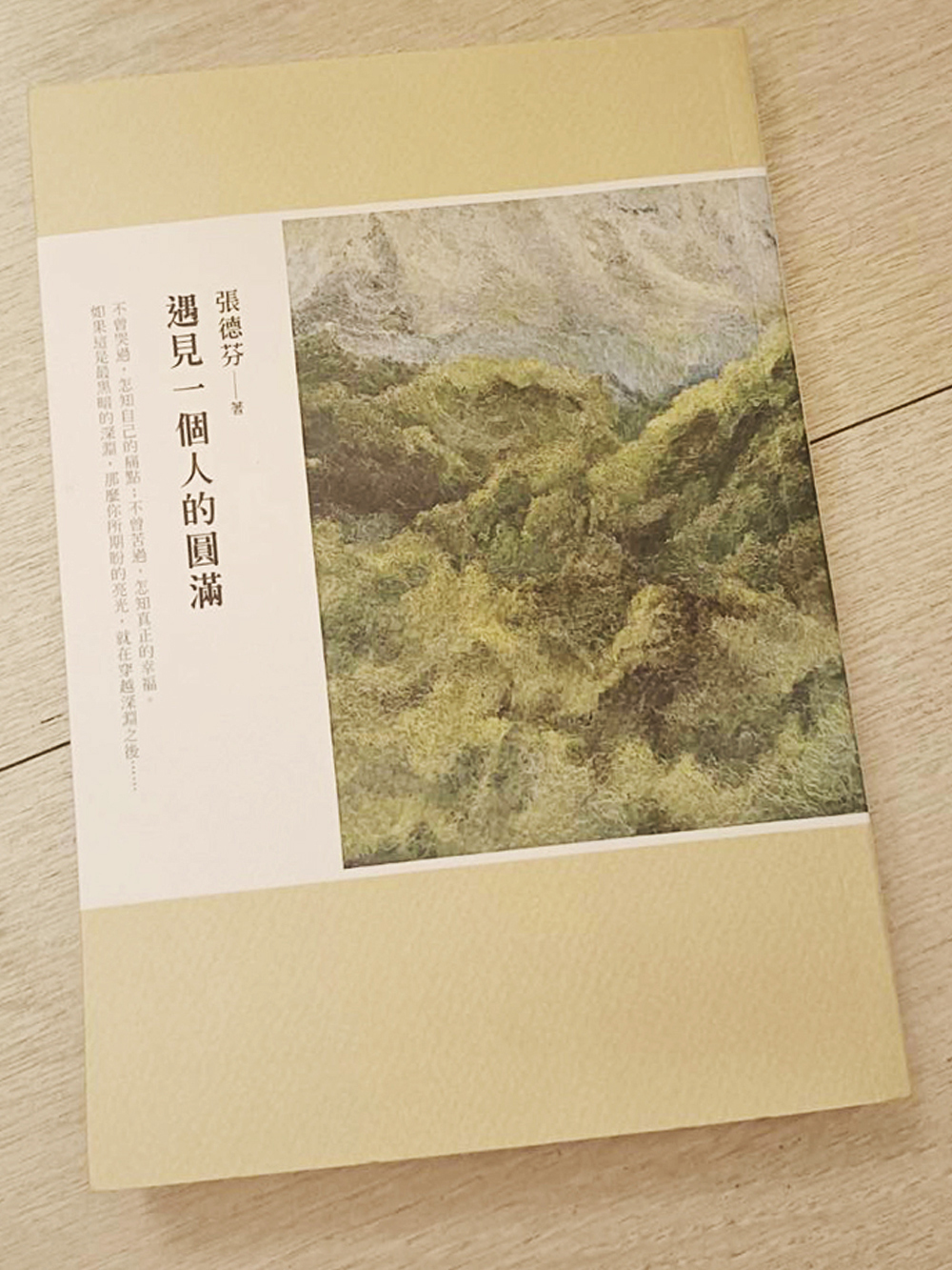 遇見一個人的圓滿/二手書【十方】154860