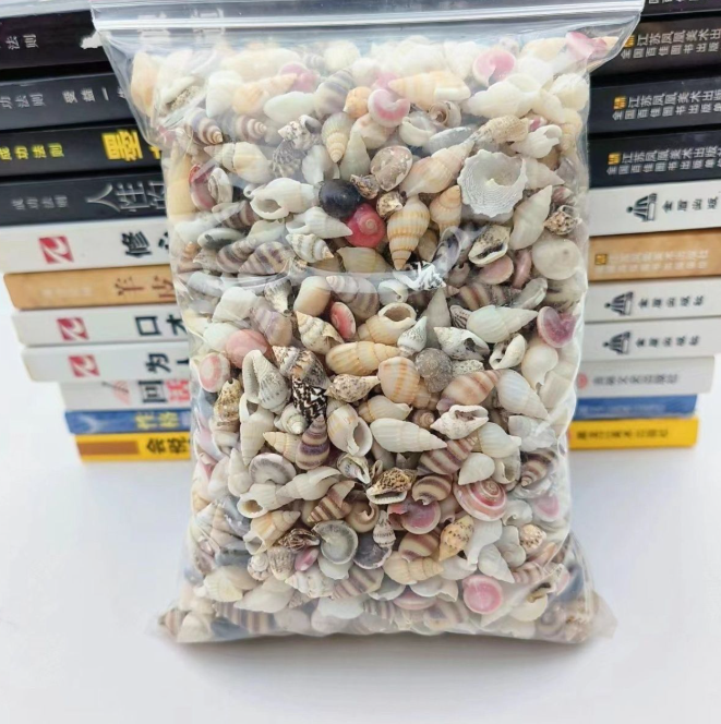 海螺小贝壳（100g）