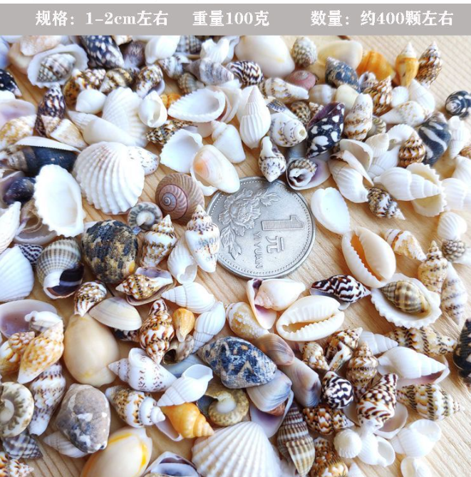 海螺小贝壳（100g）