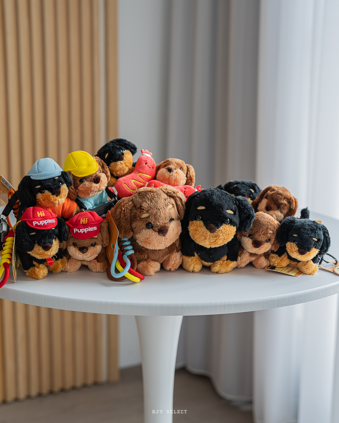 #預購 BJY STORE 帕倍思臘腸狗吊飾 九款