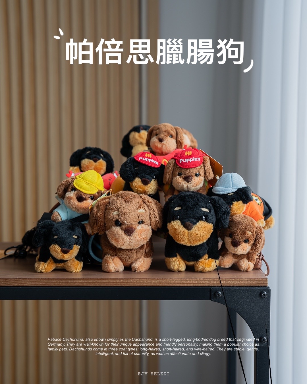 #預購 BJY STORE 帕倍思臘腸狗吊飾 九款