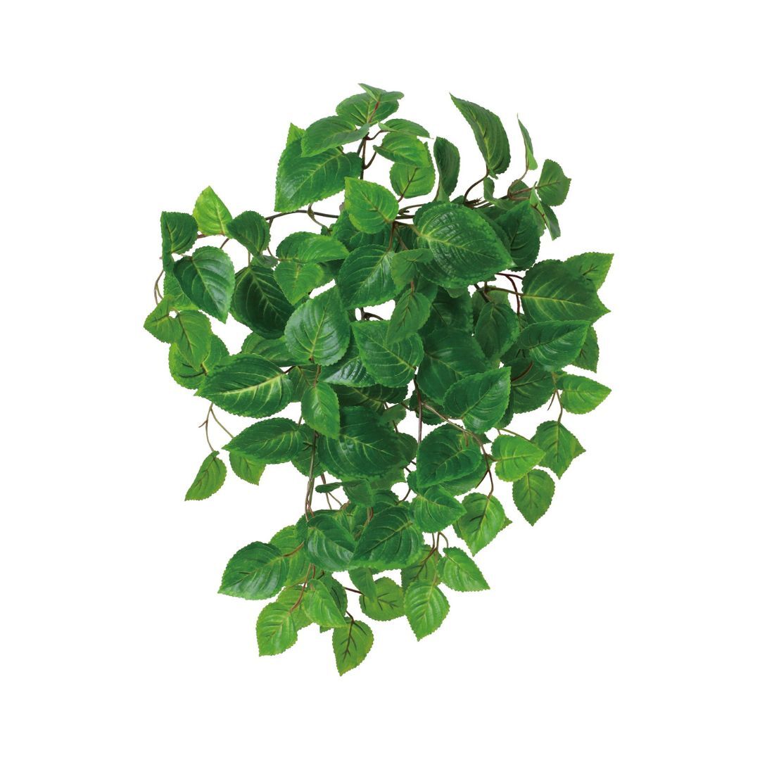 人造葉UV再生系列 彩葉草