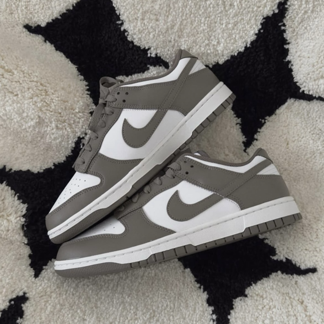 Nike Dunk Low Retro Cave Stone 棕灰 岩石灰 低筒休閒鞋