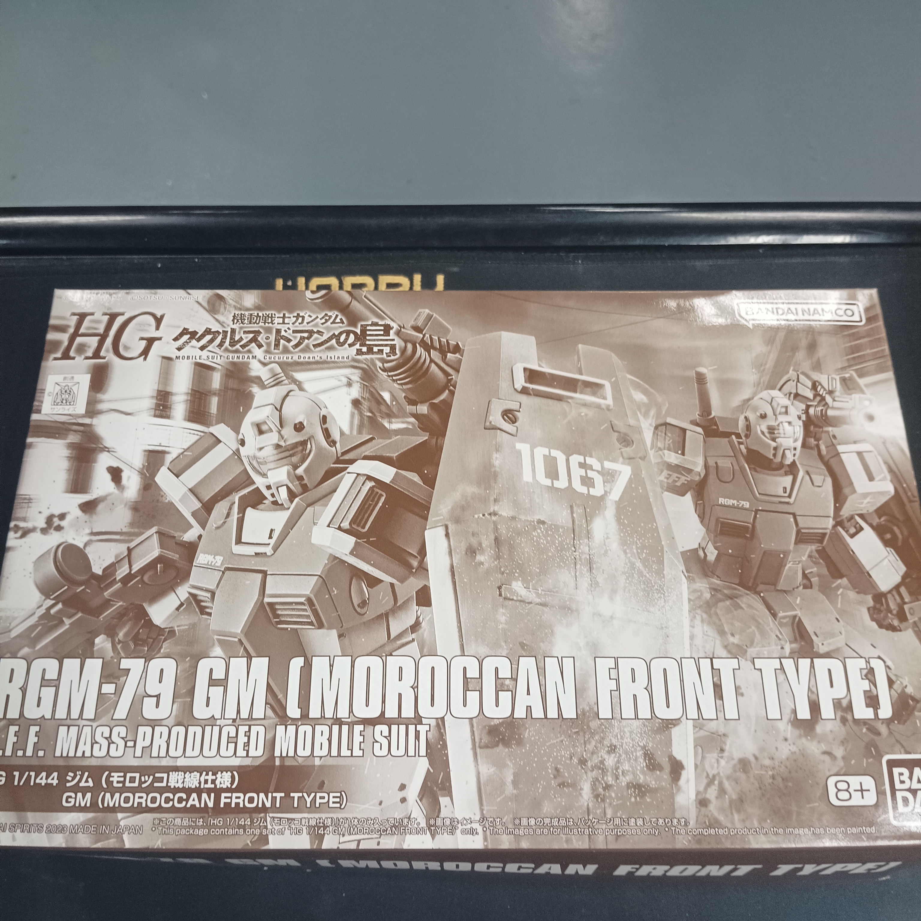 寄賣-HG RGM-79 GM "MOROCCAN FRONT TYPE"