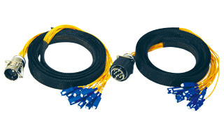 Canare 12-channel Fiber-optic Fantails