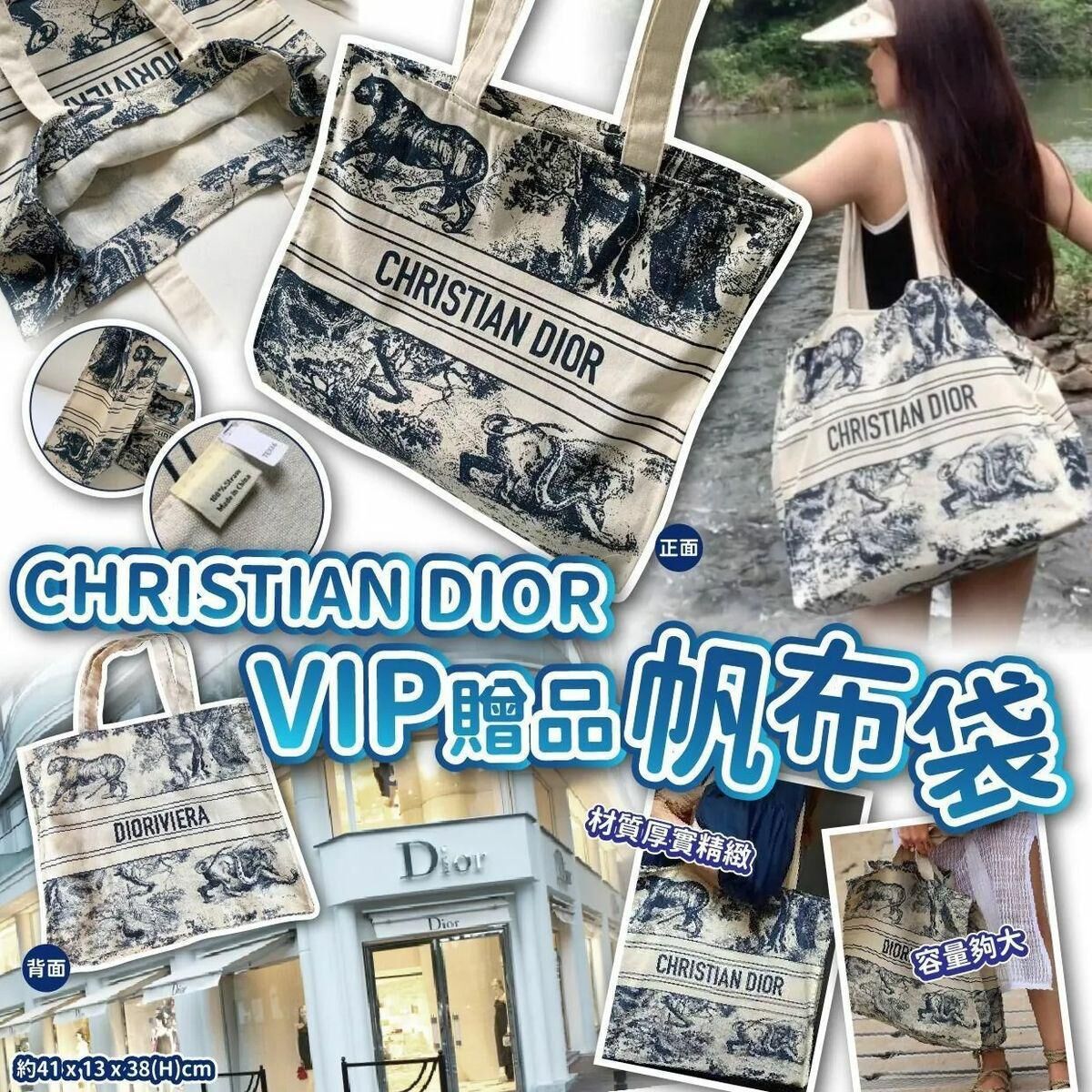DIOR VIP限定帆布袋