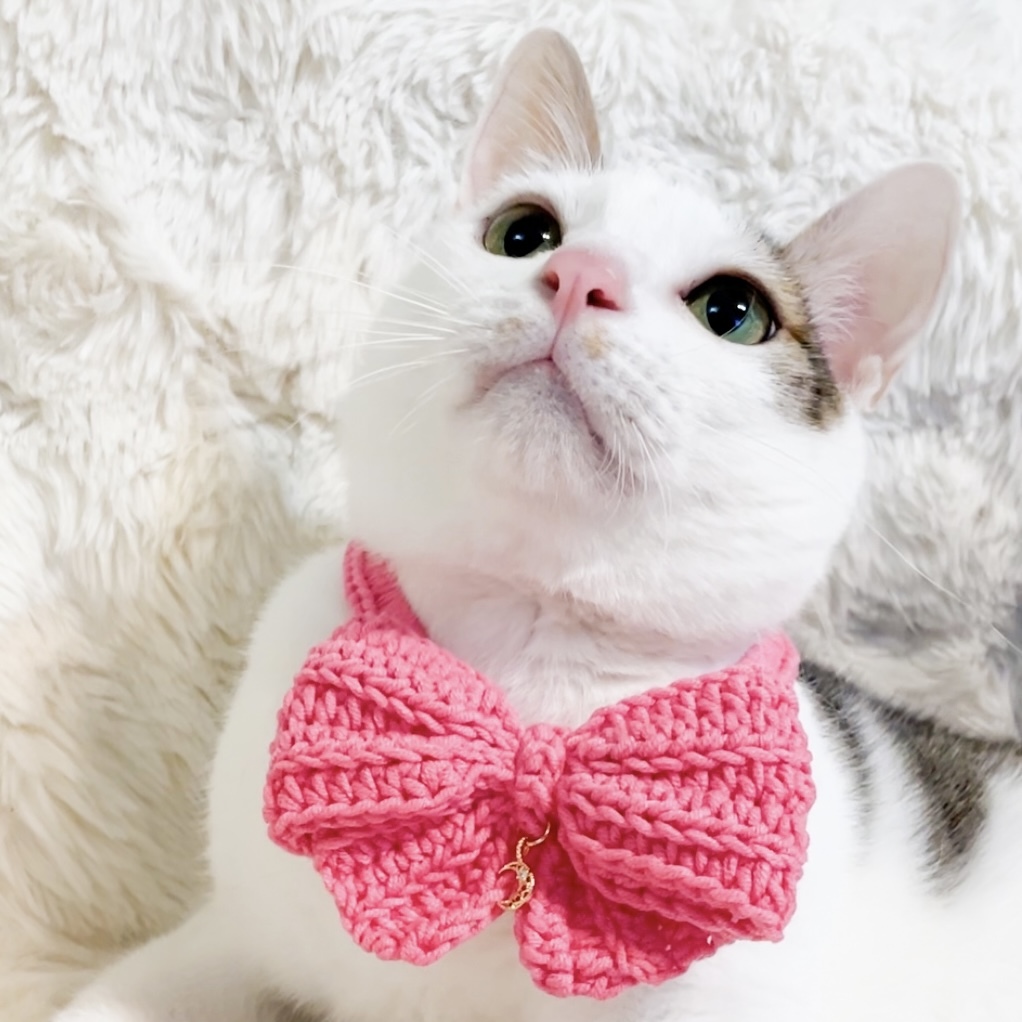 編織蝴蝶結系列（項鍊款／皮革扣款）