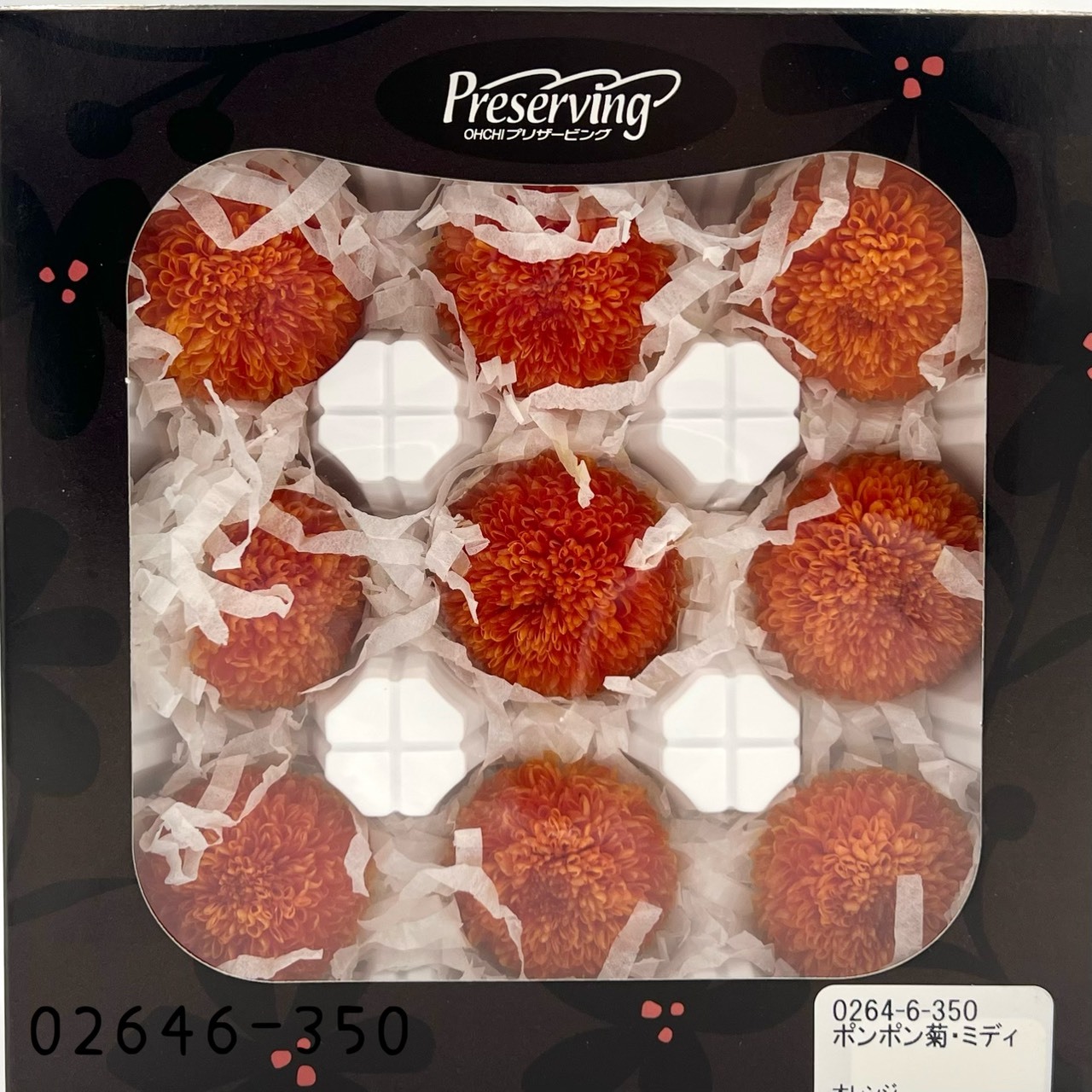 日本不凋乒乓菊(9朵) 02646-350