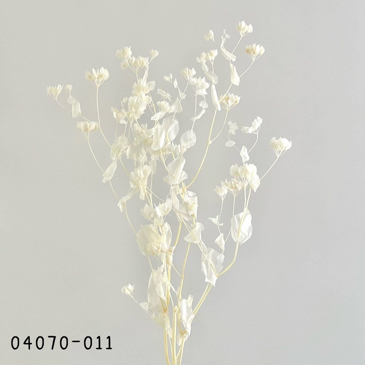 日本不凋金翠花04070-011