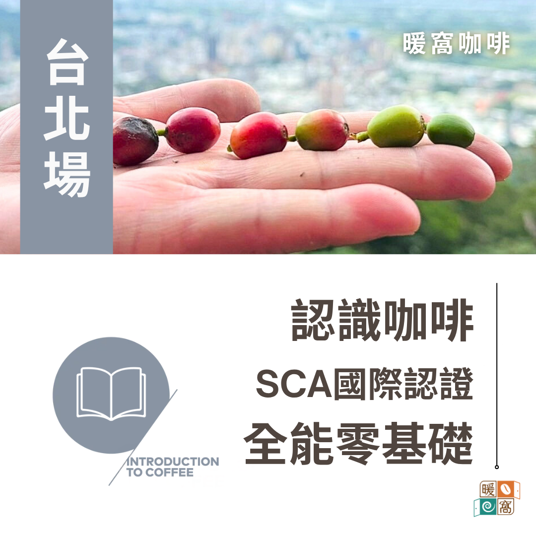 台北場｜SCA CSP 精品咖啡實作全能零基礎 國際咖啡證照(Introduction to Coffee V3.0 最新版)
