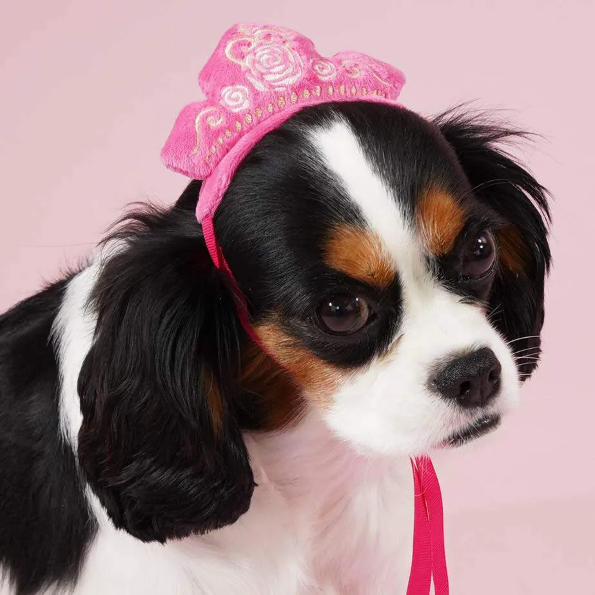 Aurora Premium Disney  Head Accessory for Pets, Sleeping Beauty