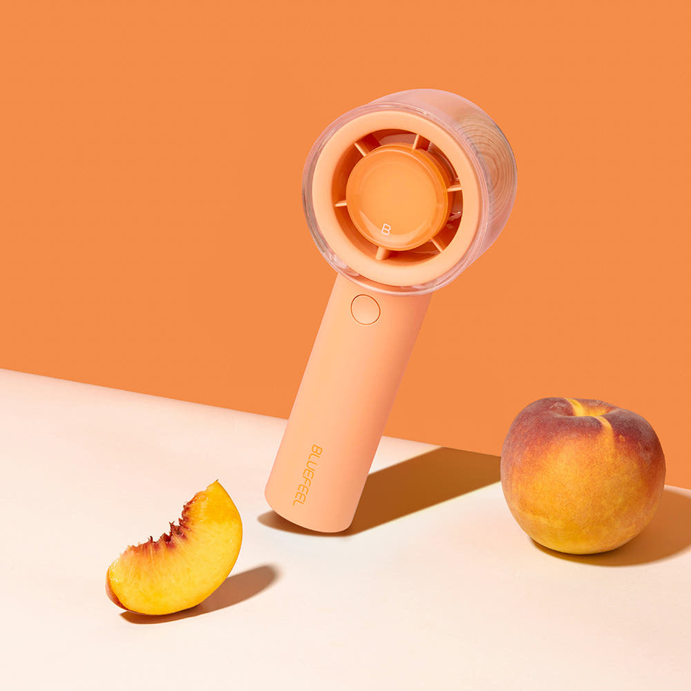 BLUEFEEL Mini Head Z Fan BFN220