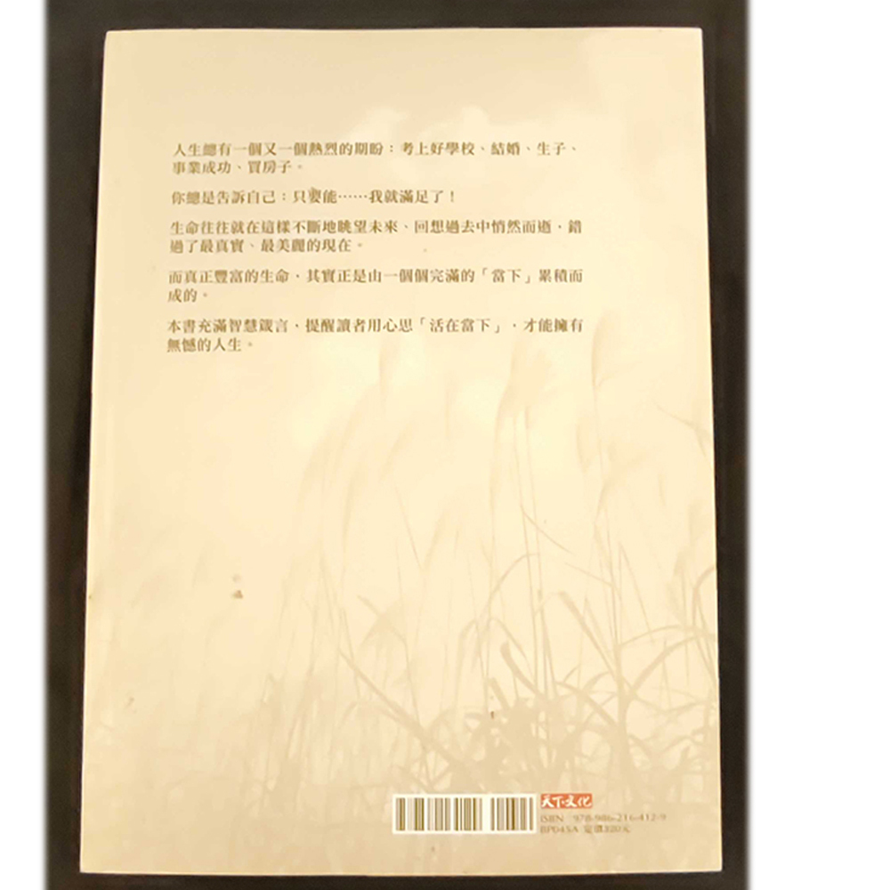 活在當下  /二手書【十方】154933