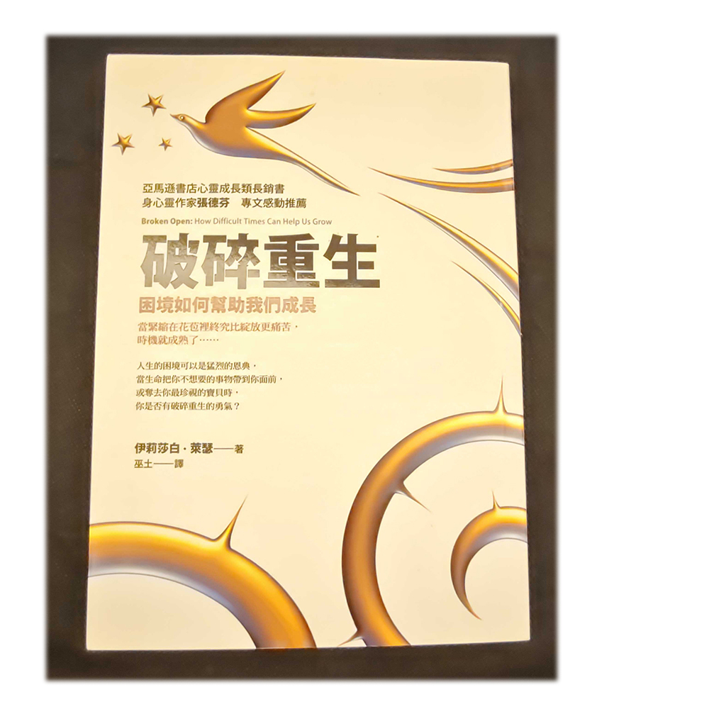 破碎重生  /二手書【十方】154942