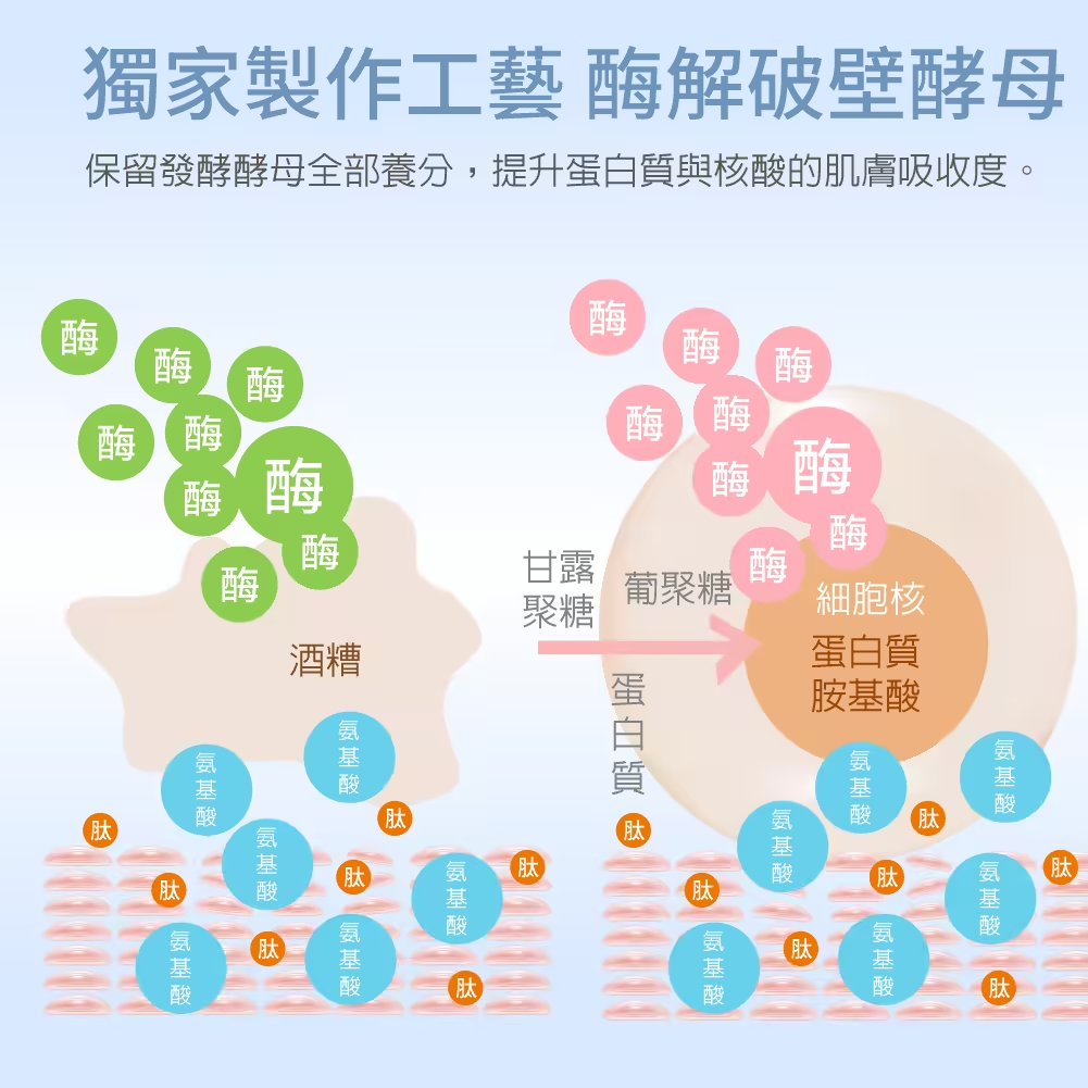 裂解酵母活膚精華液 200ml