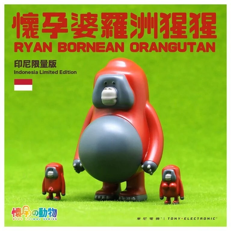 Ryan 懷孕婆羅洲猩猩