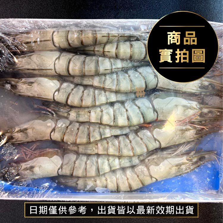 體型厚實，肉感Q彈紮實，鮮度鎖住不流失