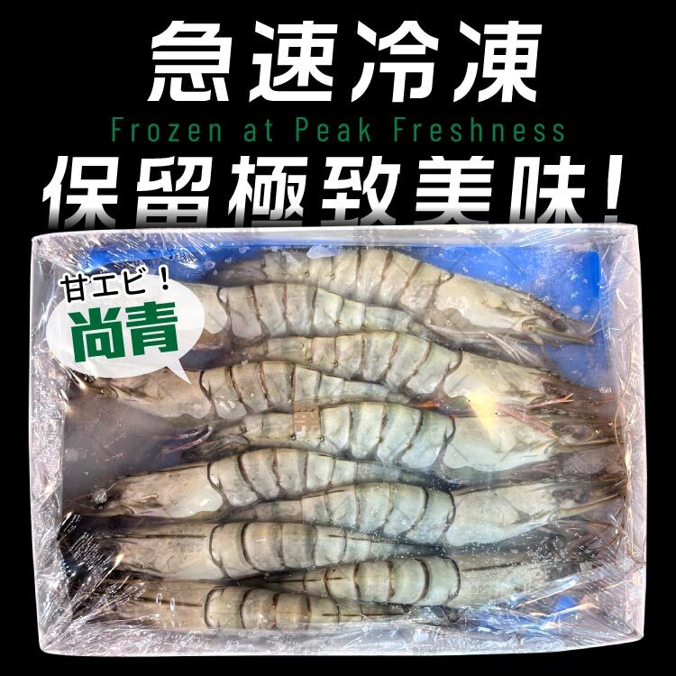 馬來西亞活凍草蝦急速冷凍，保留極致美味!
