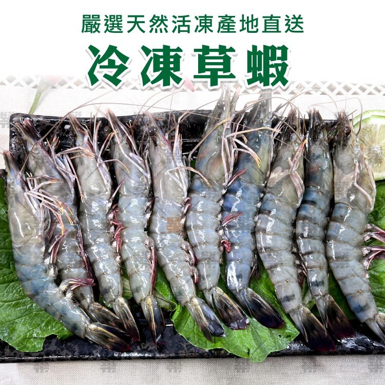 嚴選馬來西亞天然活凍草蝦產地直送