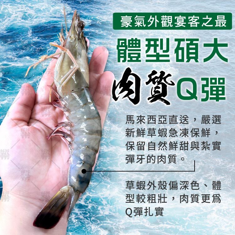 草蝦體型碩大，自然鮮甜擁有紮實彈牙的肉質
